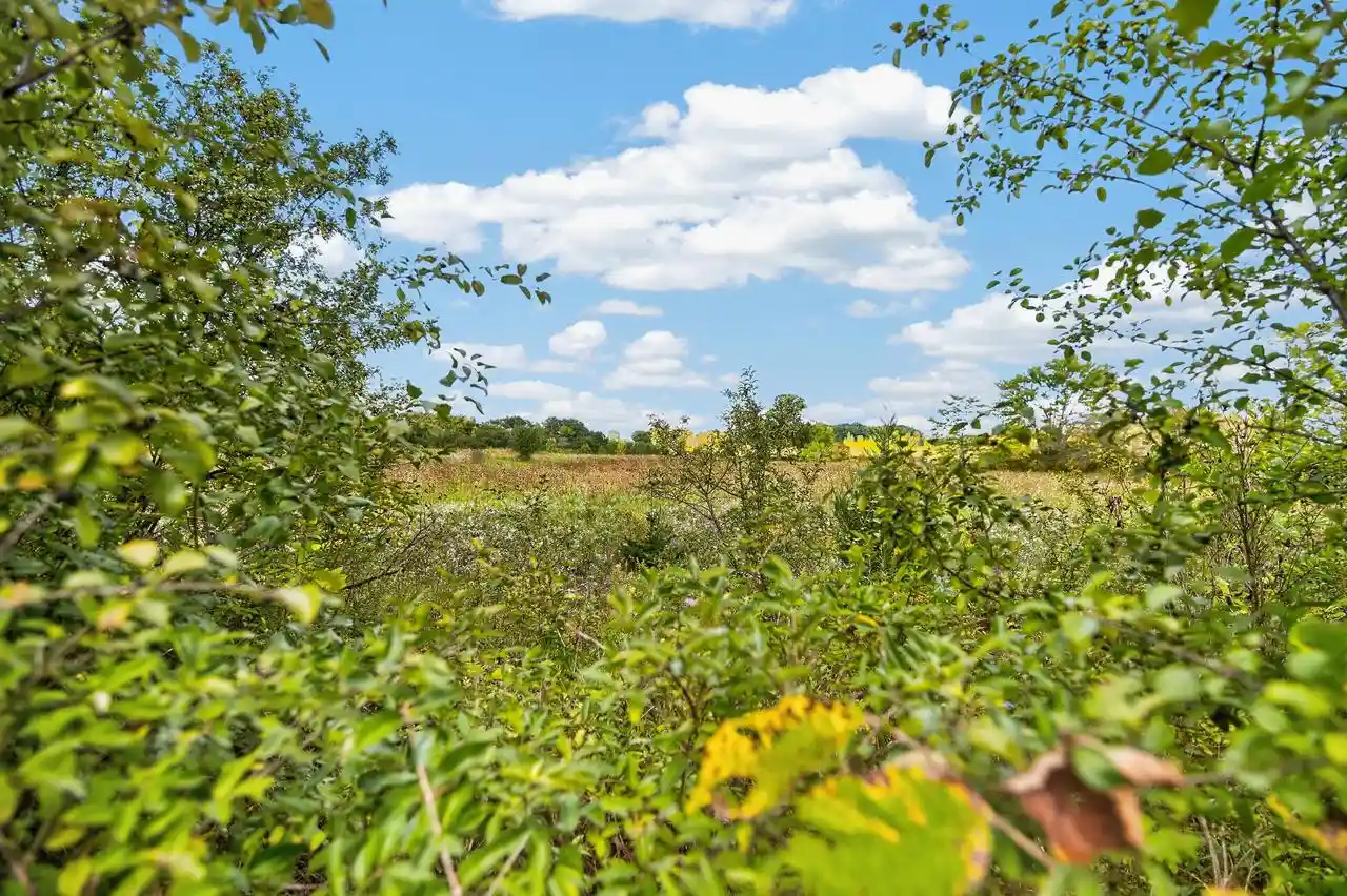 Photo 1 of Land for sale at Lt0 Swan Rd, Mequon, WI 53097 | MLS# 1982141 | Listing updated on 2026-09-25