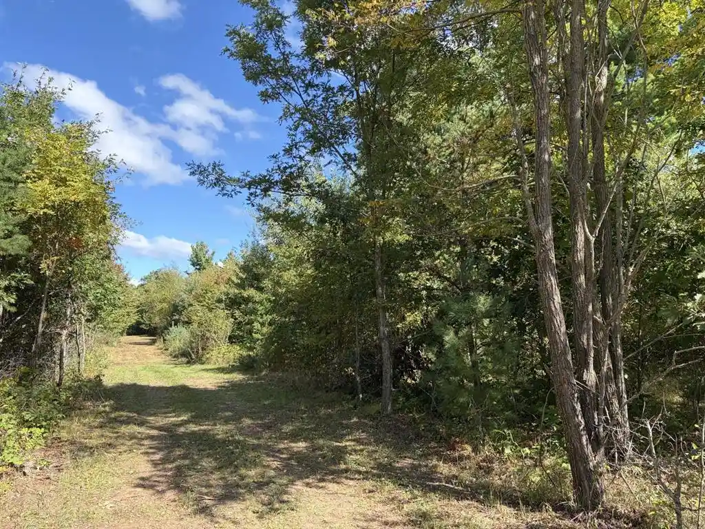 Photo 1 of Land for sale at Xxx Bluebird Trl, Webster, WI 54893 | MLS# 1605461 | Listing updated on 2026-09-25