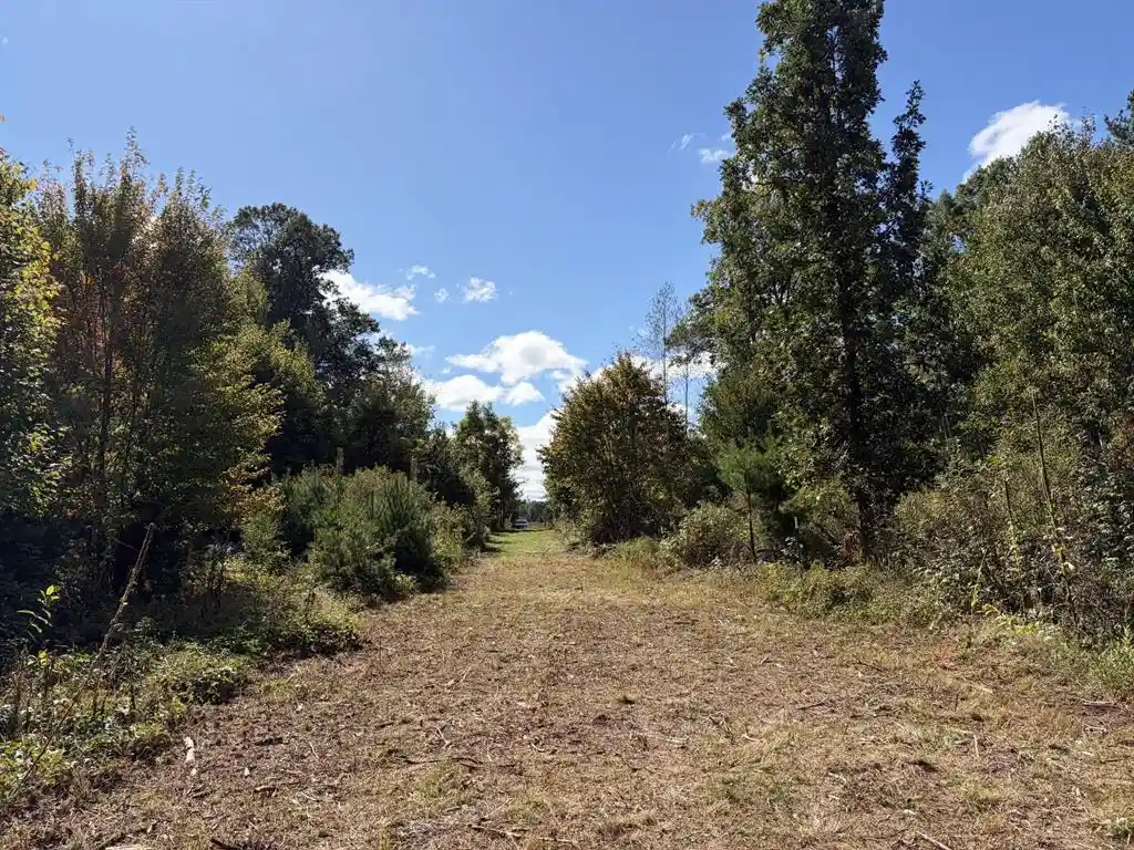 Photo 2 of Land for sale at Xxx Bluebird Trl, Webster, WI 54893 | MLS# 1605461 | Listing updated on 2026-09-25