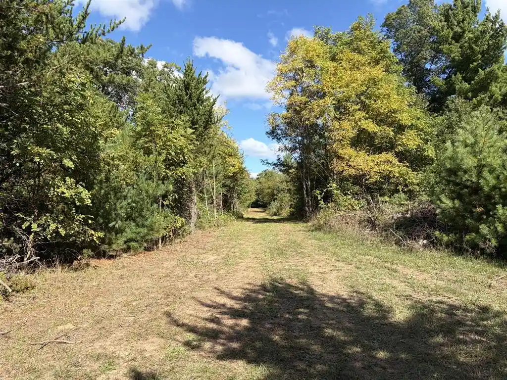 Photo 3 of Land for sale at Xxx Bluebird Trl, Webster, WI 54893 | MLS# 1605461 | Listing updated on 2026-09-25
