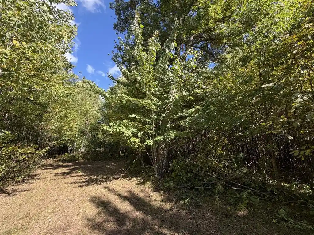Photo 3 of Land for sale at Xxx Bluebird Trl, Webster, WI 54893 | MLS# 1605461 | Listing updated on 2026-09-25