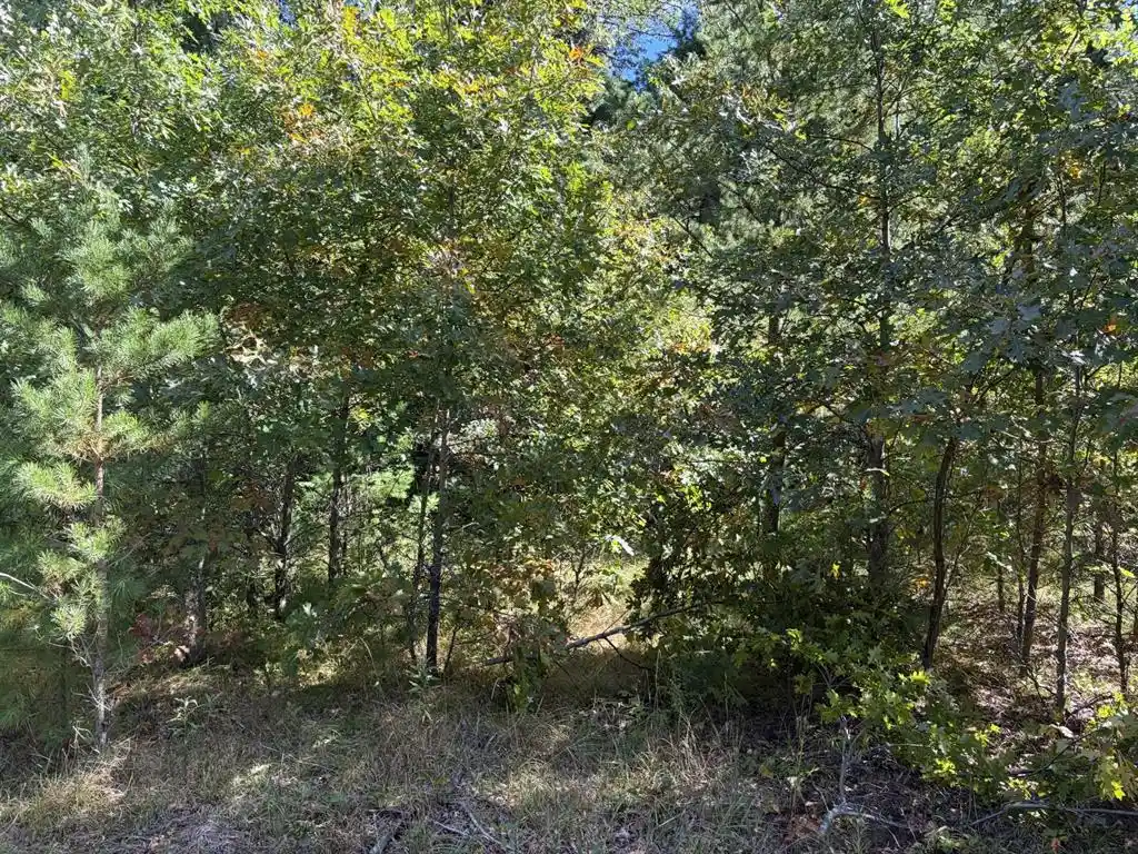 Photo 4 of Land for sale at Xxx Bluebird Trl, Webster, WI 54893 | MLS# 1605461 | Listing updated on 2026-09-25