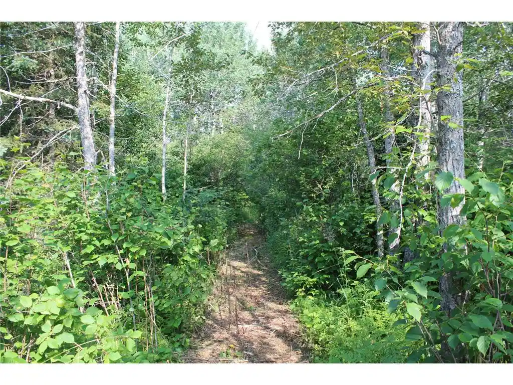 Photo 4 of Land for sale at Lot E 1 Camp Amnicon Rd, South Range, WI 54874 | MLS# 7150324 | Listing updated on 2026-09-25