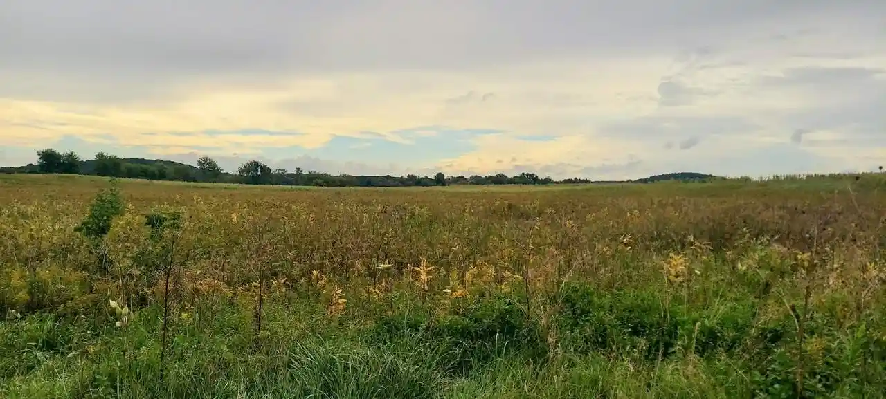 Photo 9 of Land for sale at 0000 Intersection Of 60 & 67 Rd, Neosho, WI 53059 | MLS# 1982166 | Listing updated on 2026-09-29