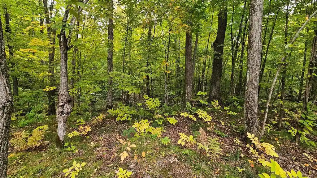 Photo 3 of Land for sale at 11648 Heavens Way, Hayward, WI 54843 | MLS# 1605449 | Listing updated on 2026-09-25