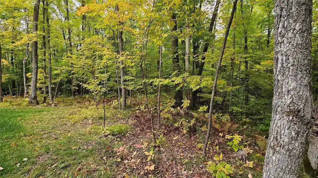 Photo 4 of Land for sale at 11648 Heavens Way, Hayward, WI 54843 | MLS# 1605449 | Listing updated on 2026-09-25