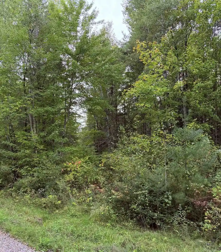 Photo 2 of Land for sale at Up River Rd, Phillips, WI 54555 | MLS# 22604784 | Listing updated on 2026-10-06