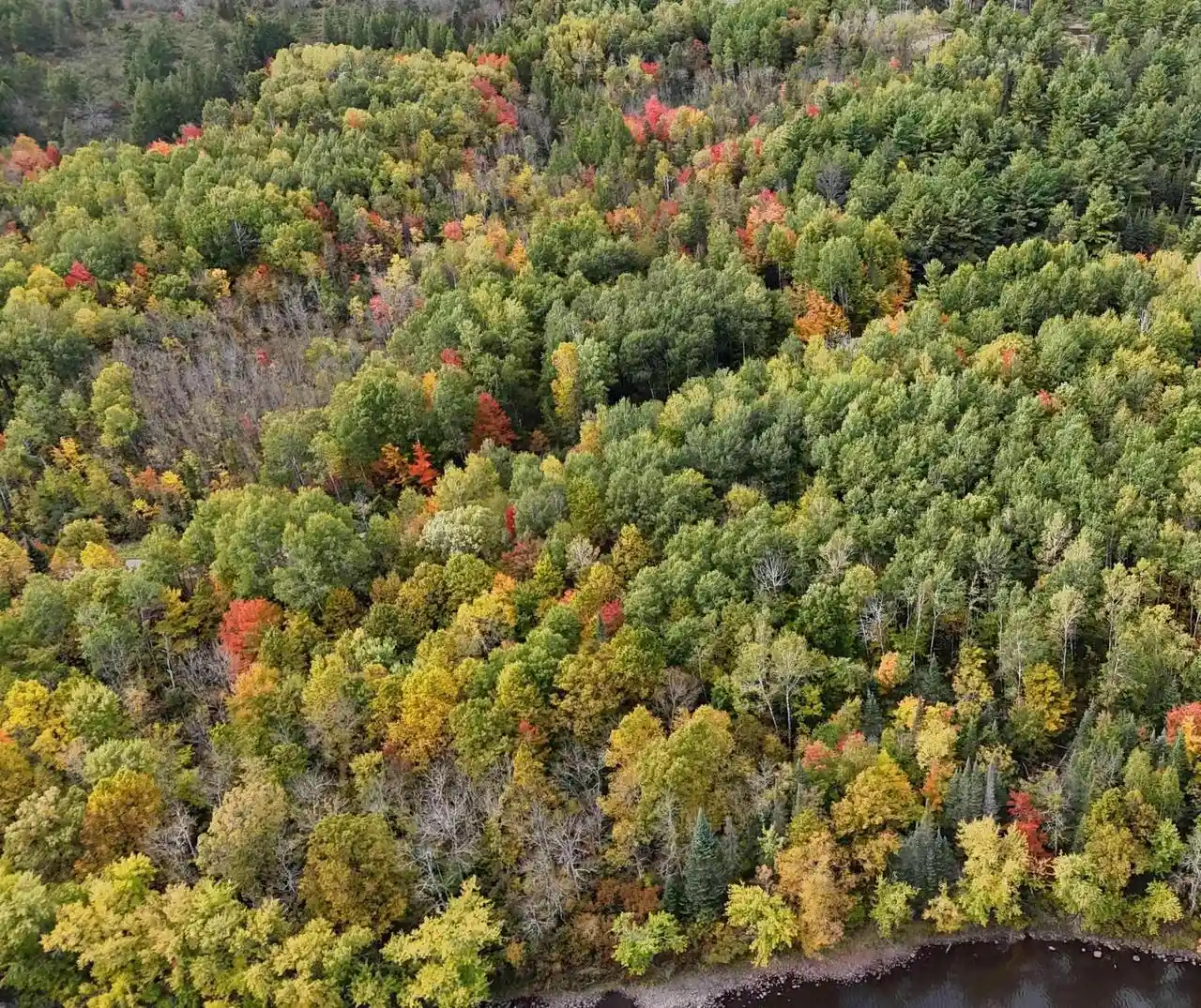 Photo 3 of Land for sale at Up River Rd, Phillips, WI 54555 | MLS# 22604784 | Listing updated on 2026-10-06