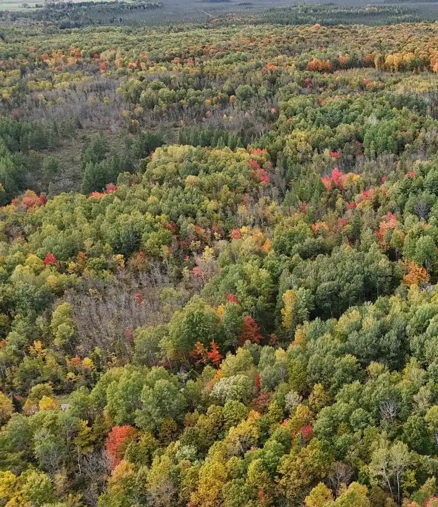 Photo 3 of Land for sale at Up River Rd, Phillips, WI 54555 | MLS# 22604784 | Listing updated on 2026-10-06