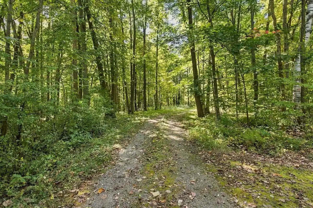 Land for sale at W681 Pearl St, Oneida, WI 54155 | MLS# 50333326
