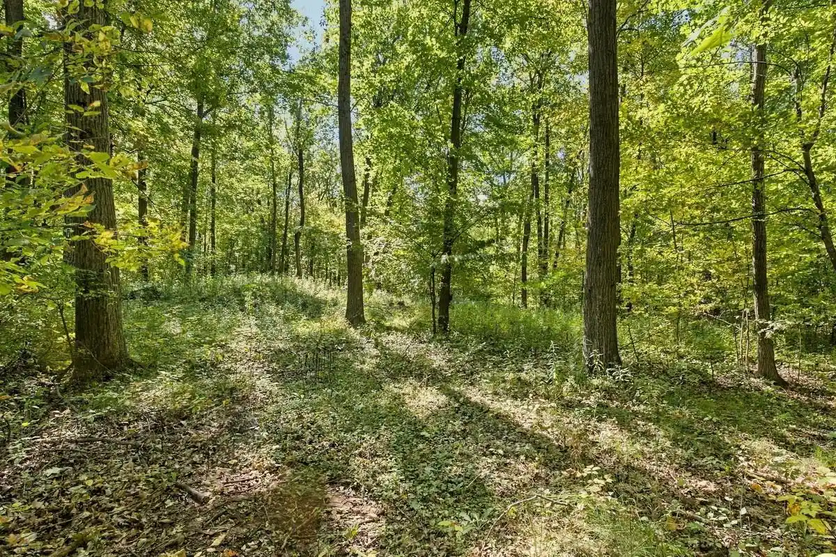 Photo 4 of Land for sale at W681 Pearl St, Oneida, WI 54155 | MLS# 50333326 | Listing updated on 2026-09-29