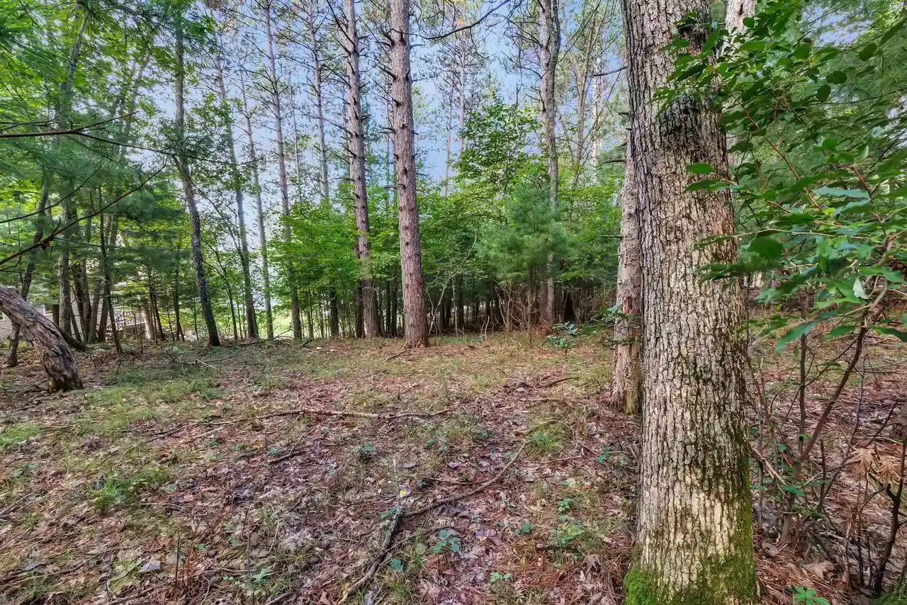 Photo 3 of Land for sale at W4566 S Shore Dr, Wild Rose, WI 54984 | MLS# 50333296 | Listing updated on 2026-10-02