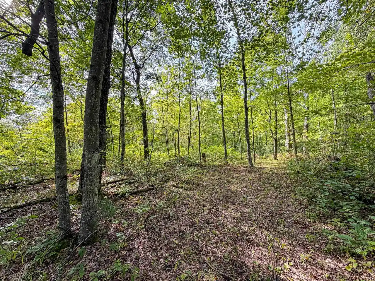 Photo 2 of Land for sale at W5894 Wilson Ln, Necedah, WI 54646 | MLS# 2033496 | Listing updated on 2026-09-25