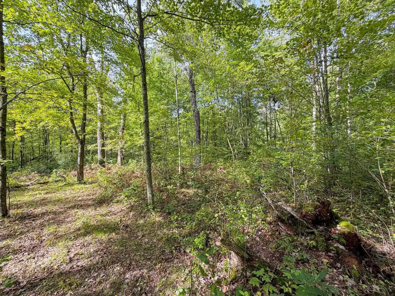 Photo 3 of Land for sale at W5894 Wilson Ln, Necedah, WI 54646 | MLS# 2033496 | Listing updated on 2026-09-25