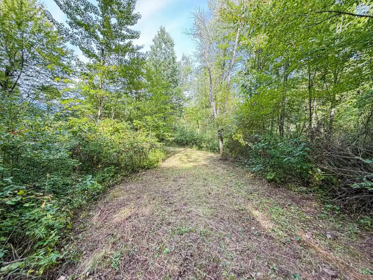 Photo 3 of Land for sale at W5894 Wilson Ln, Necedah, WI 54646 | MLS# 2033496 | Listing updated on 2026-09-25