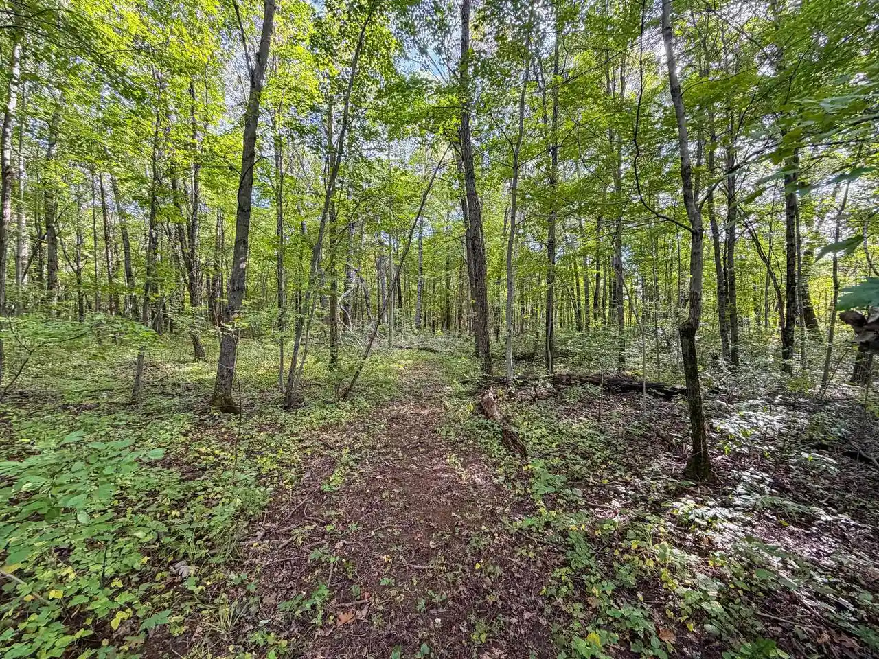Photo 4 of Land for sale at W5894 Wilson Ln, Necedah, WI 54646 | MLS# 2033496 | Listing updated on 2026-09-25