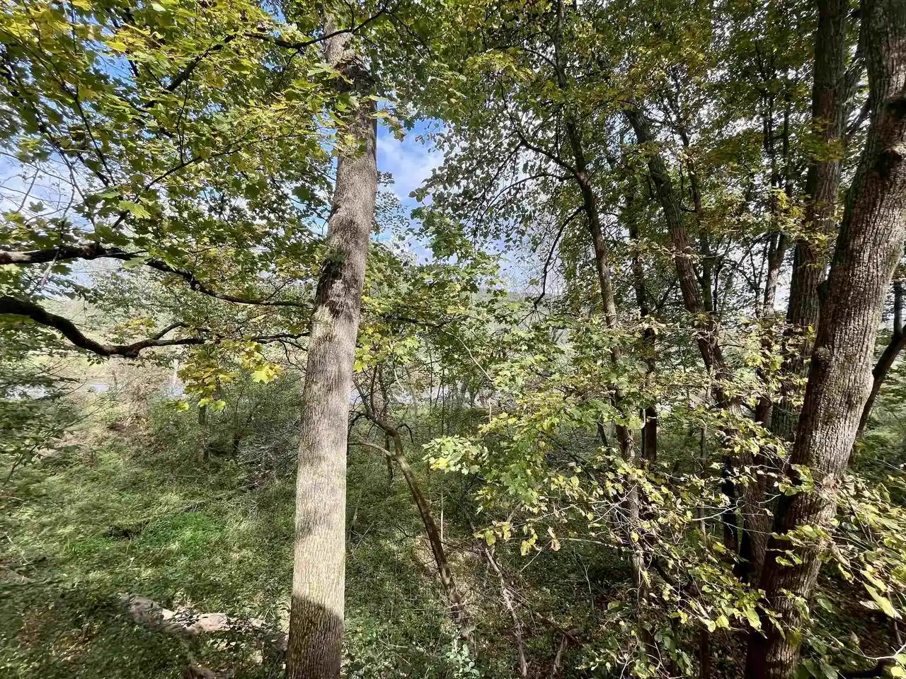 Photo 3 of Single family home for sale at 50244 Highway 179, Steuben, WI 54657 | MLS# 2033501 | Listing updated on 2026-09-25