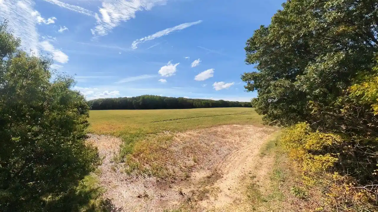 Photo 2 of Land for sale at 4586ac County Rd M, Westfield, WI 53964 | MLS# 2033502 | Listing updated on 2026-09-26