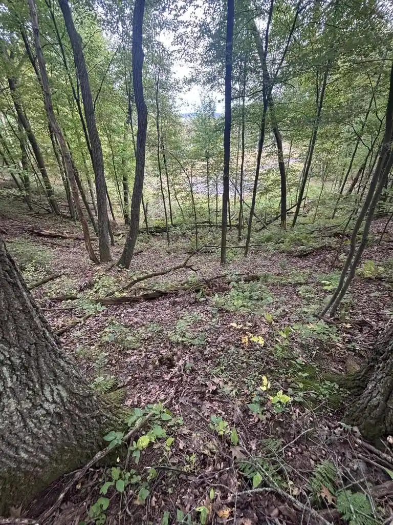 Photo 3 of Land for sale at Lot 39 Whitney Way, Sparta, WI 54656 | MLS# 1982254 | Listing updated on 2026-09-28