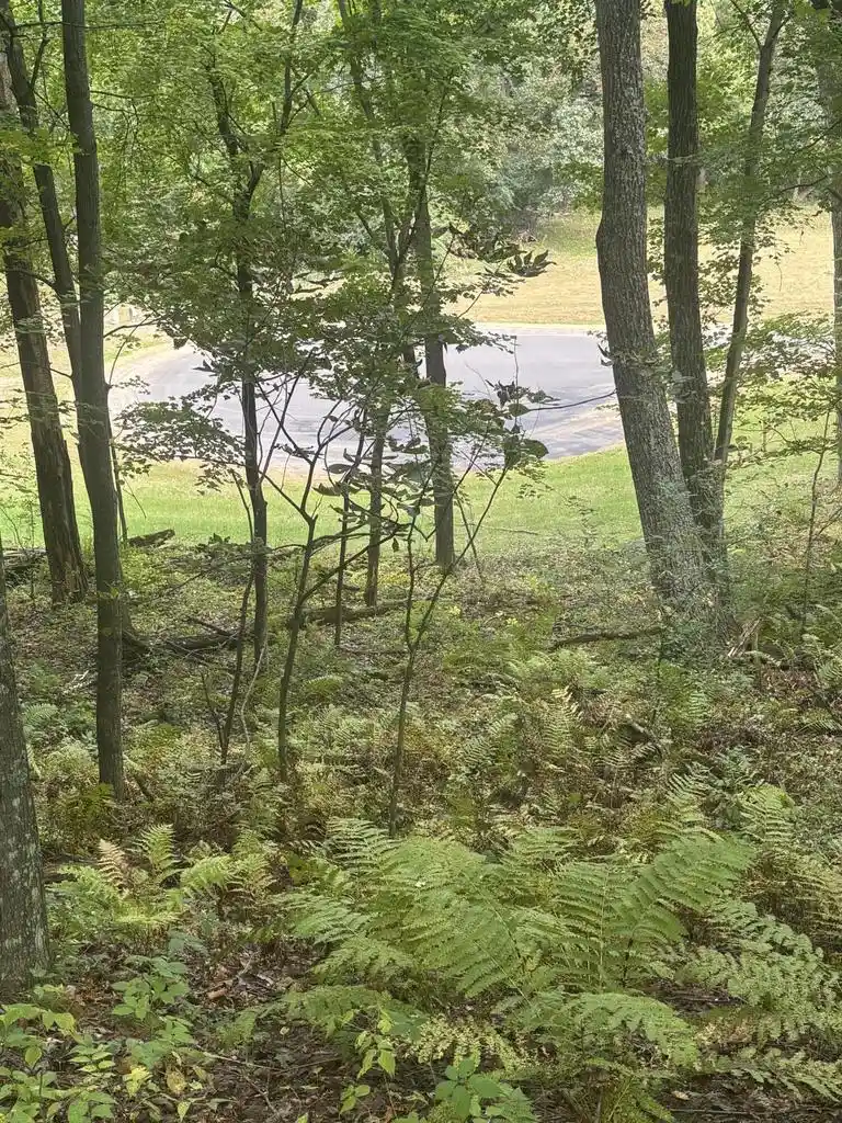 Photo 4 of Land for sale at Lot 39 Whitney Way, Sparta, WI 54656 | MLS# 1982254 | Listing updated on 2026-09-28