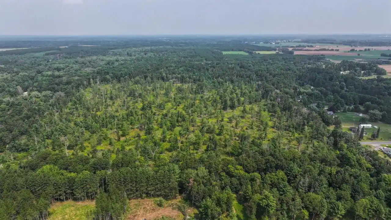 Photo 3 of Land for sale at 5 Acres Brilowski Rd N, Stevens Point, WI 54482 | MLS# 22604795 | Listing updated on 2026-09-26