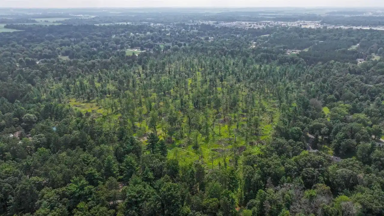 Photo 4 of Land for sale at 5 Acres Brilowski Rd N, Stevens Point, WI 54482 | MLS# 22604795 | Listing updated on 2026-09-26