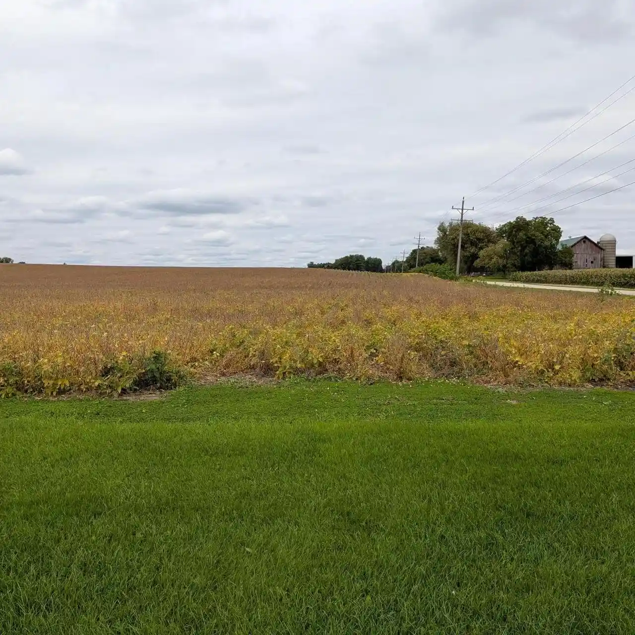 Photo 3 of Land for sale at 3880 Acres Faville Rd, Lake Mills, WI 53551 | MLS# 2033533 | Listing updated on 2026-10-06
