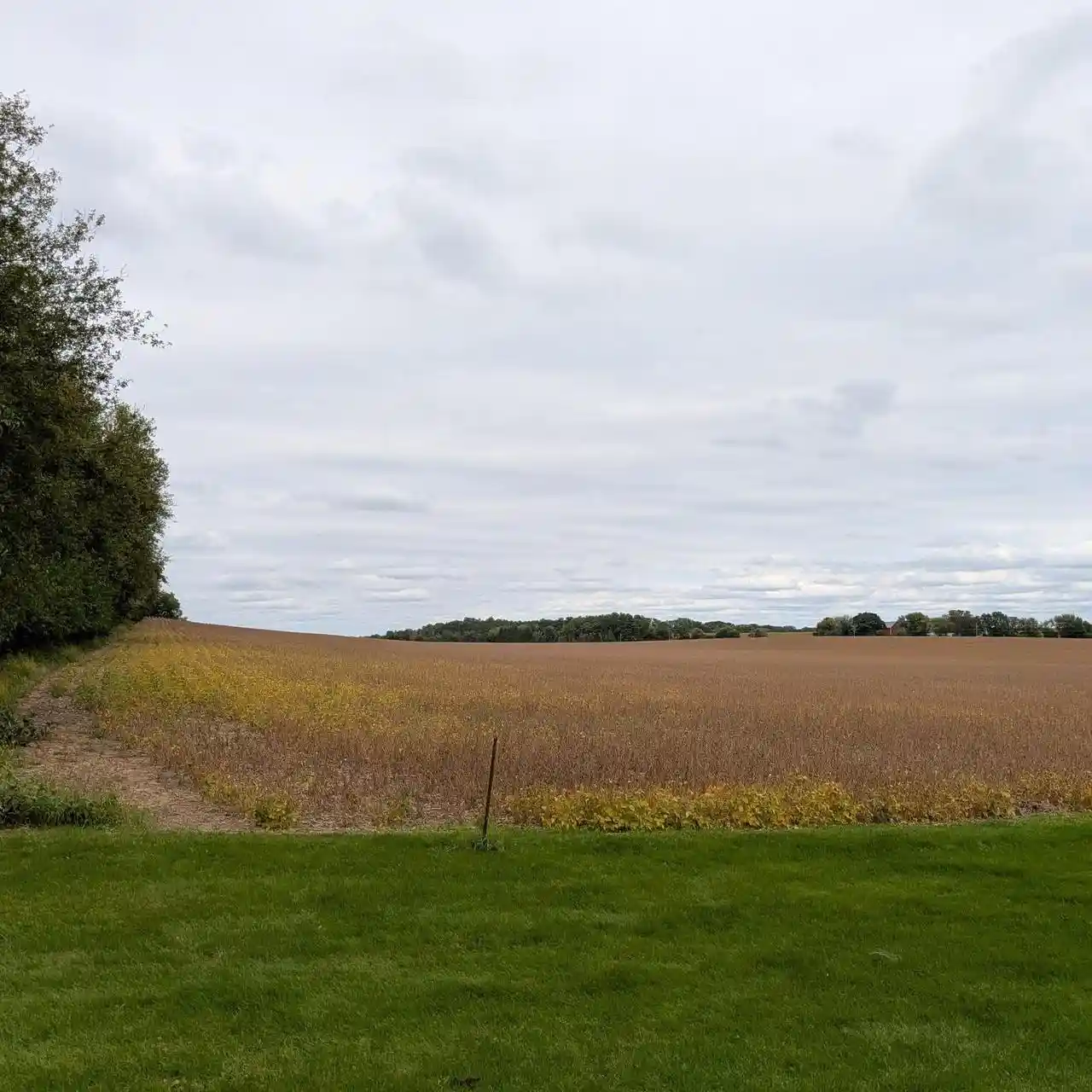 Photo 3 of Land for sale at 3880 Acres Faville Rd, Lake Mills, WI 53551 | MLS# 2033533 | Listing updated on 2026-10-06
