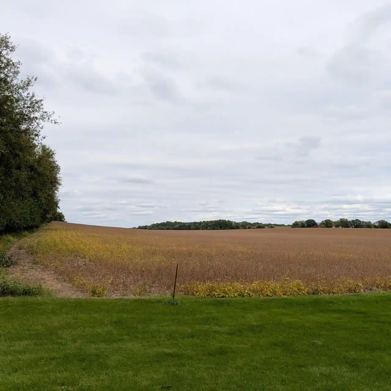 Photo 3 of Land for sale at 388 Acres Faville Rd, Lake Mills, WI 53551 | MLS# 1982332 | Listing updated on 2026-10-06