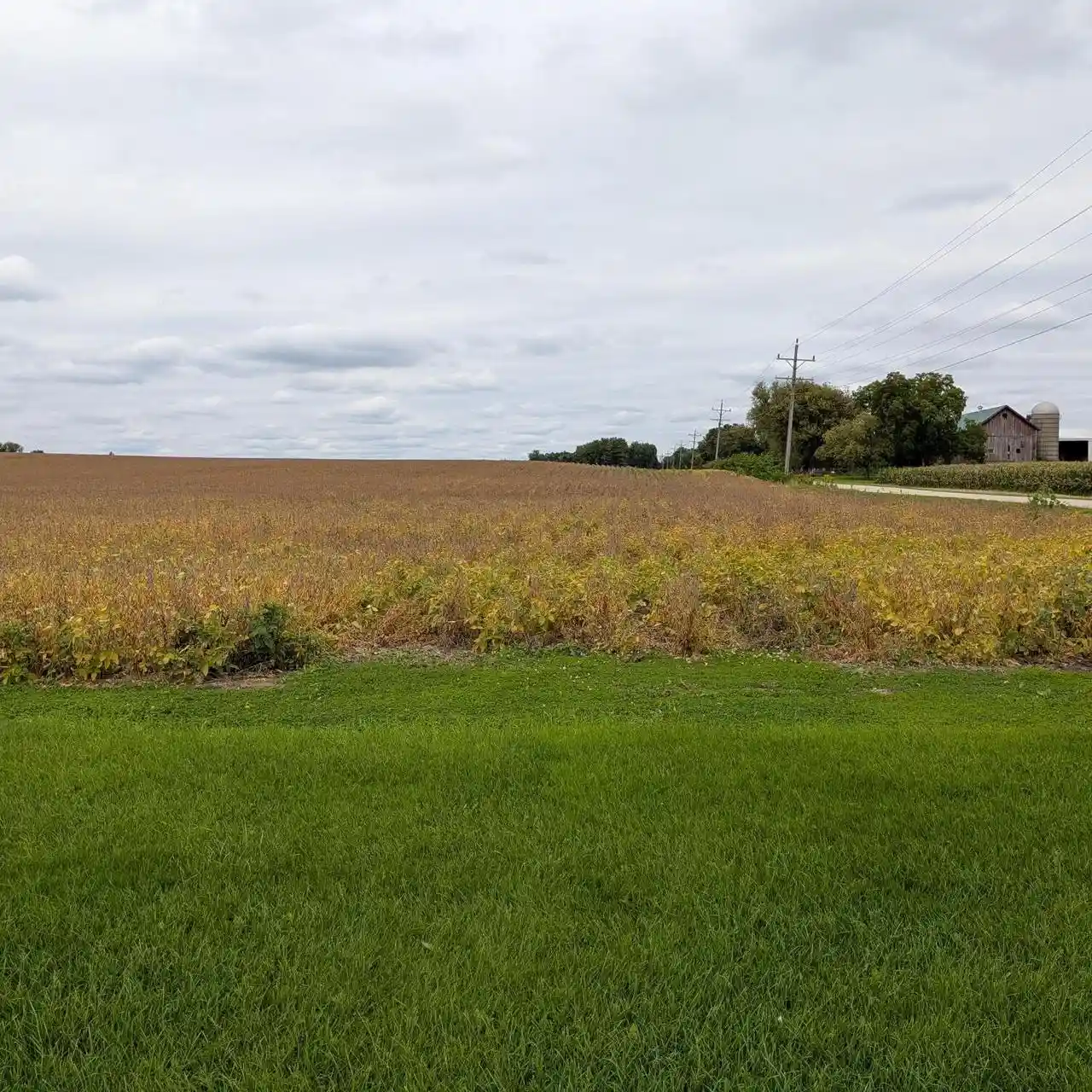Photo 3 of Land for sale at 388 Acres Faville Rd, Lake Mills, WI 53551 | MLS# 1982332 | Listing updated on 2026-10-06