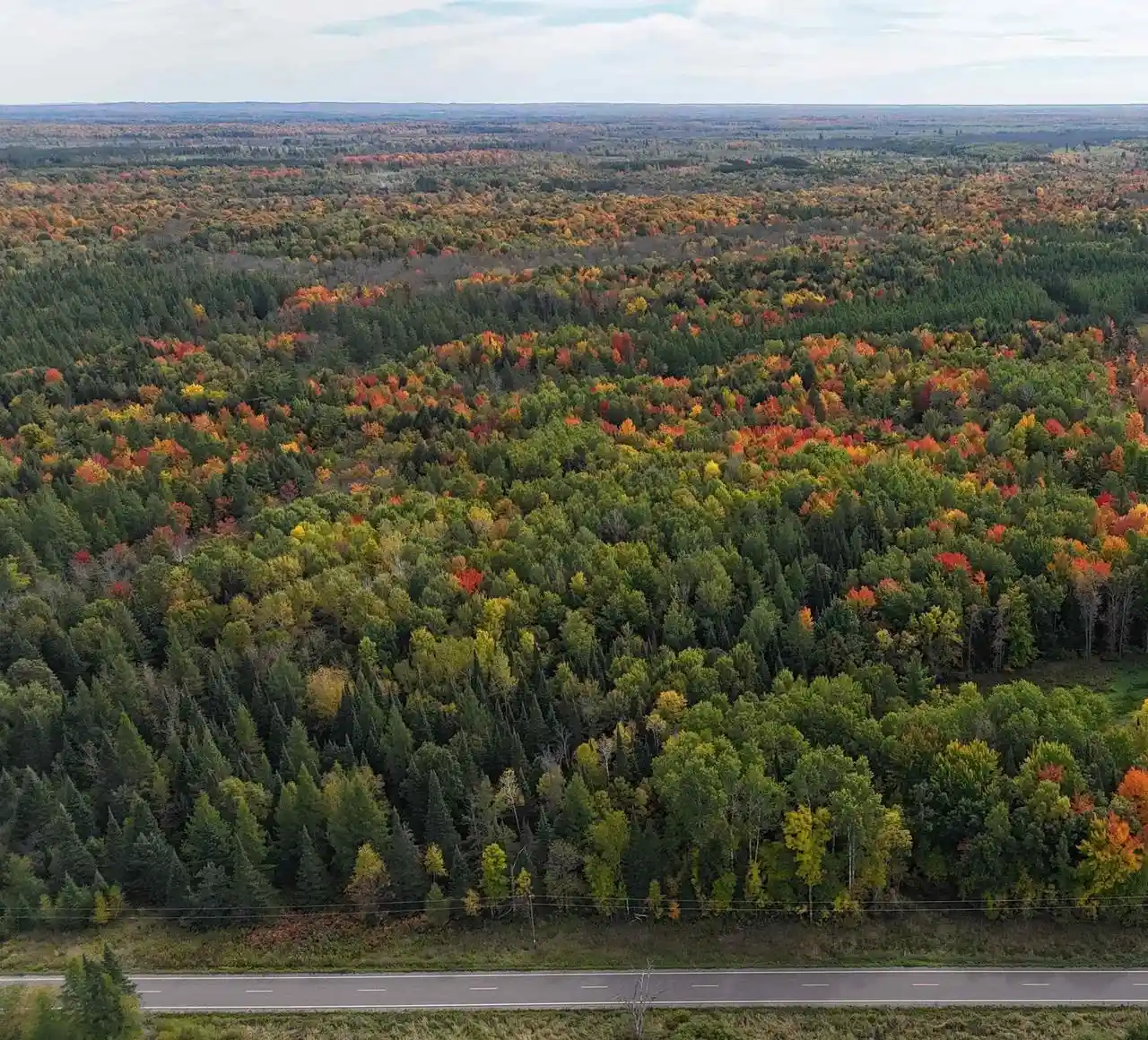 Photo 1 of Land for sale at W11303 County Rd W, Phillips, WI 54555 | MLS# 22604798 | Listing updated on 2026-10-01