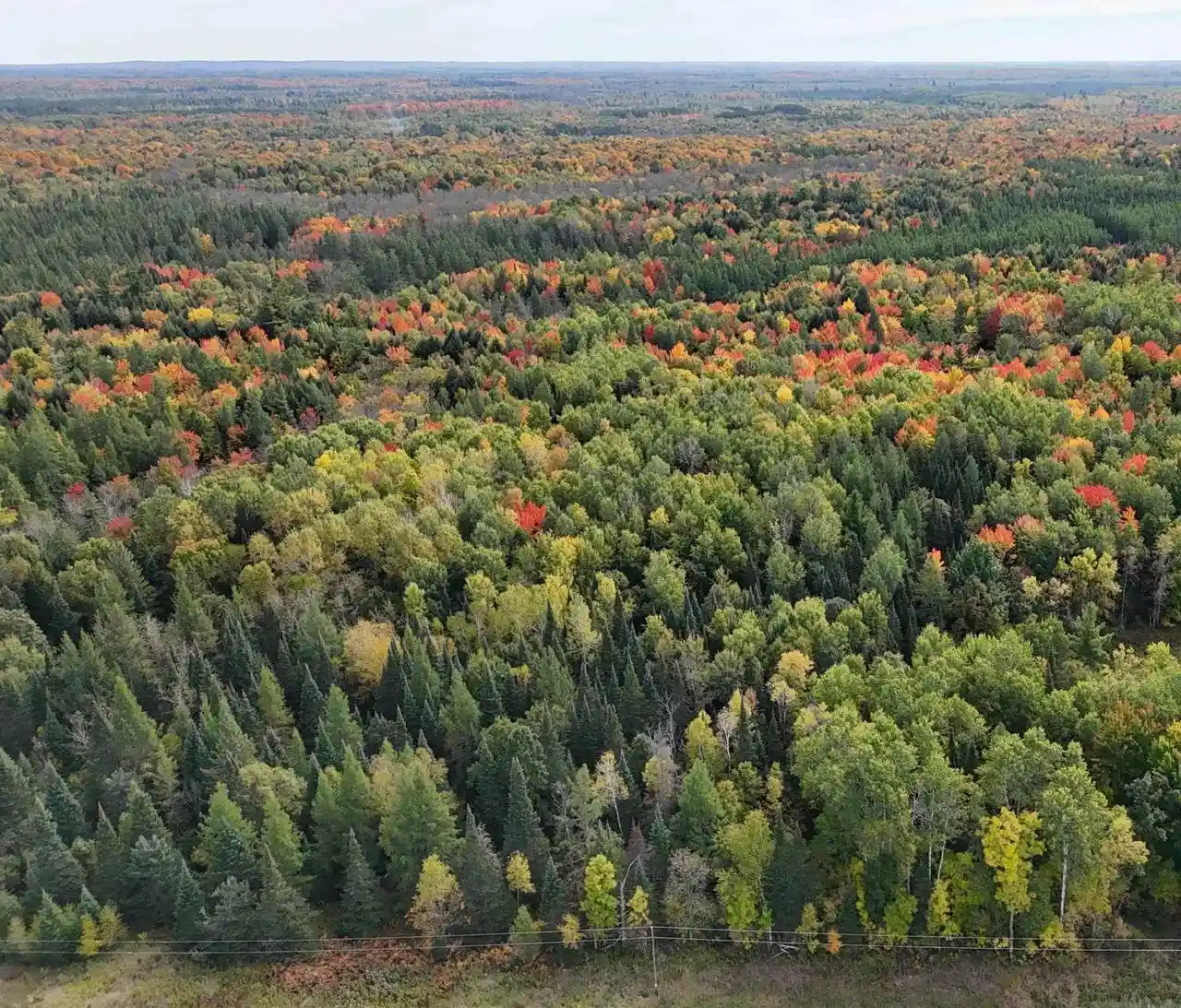 Photo 3 of Land for sale at W11303 County Rd W, Phillips, WI 54555 | MLS# 22604798 | Listing updated on 2026-10-01