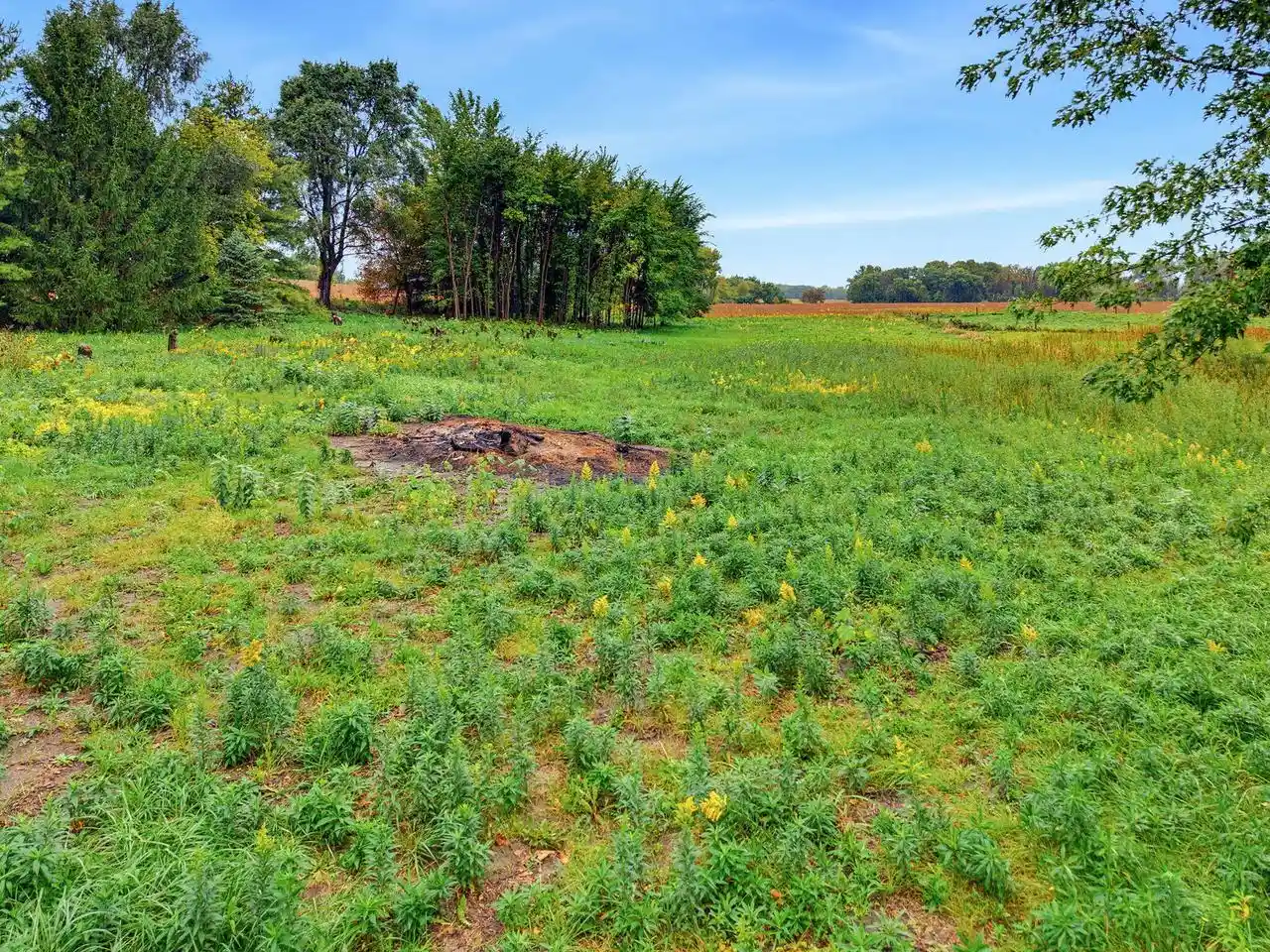 Photo 3 of Land for sale at N7105 Hillside Dr, Watertown, WI 53094 | MLS# 1982361 | Listing updated on 2026-10-02