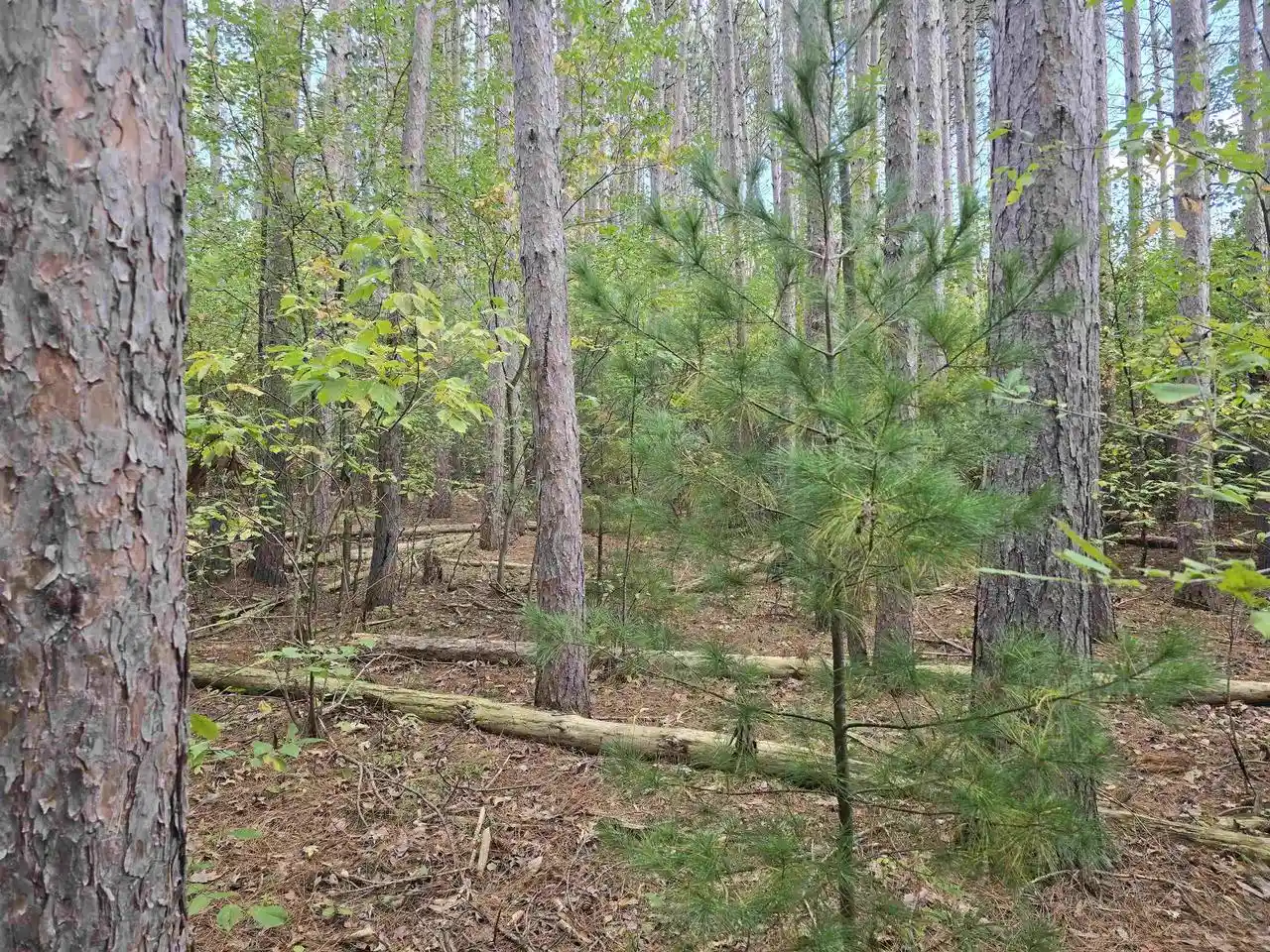 Land for sale at Lake Dr, Wautoma, WI 54982 | MLS# 50333335