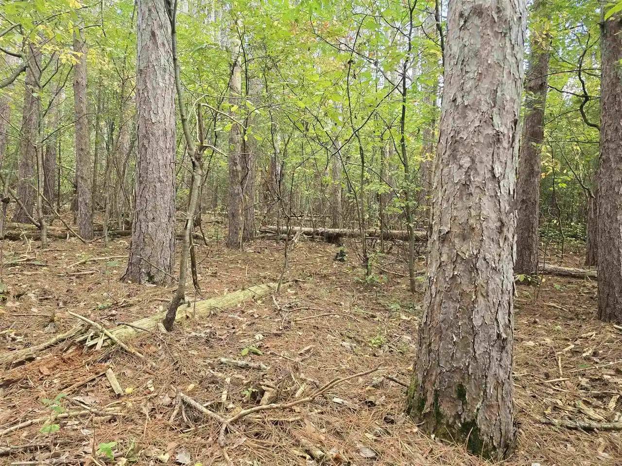 Photo 4 of Land for sale at Lake Dr, Wautoma, WI 54982 | MLS# 50333335 | Listing updated on 2026-10-05