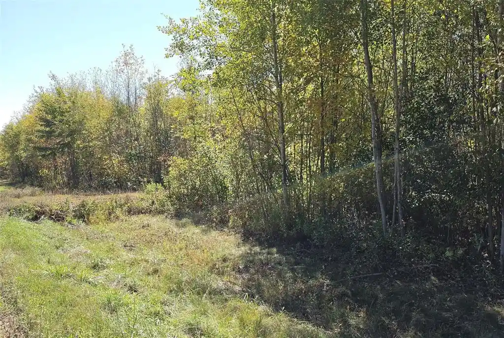 Photo 1 of Land for sale at On County Hwy W, Winter, WI 54896 | MLS# 1605419 | Listing updated on 2026-10-08