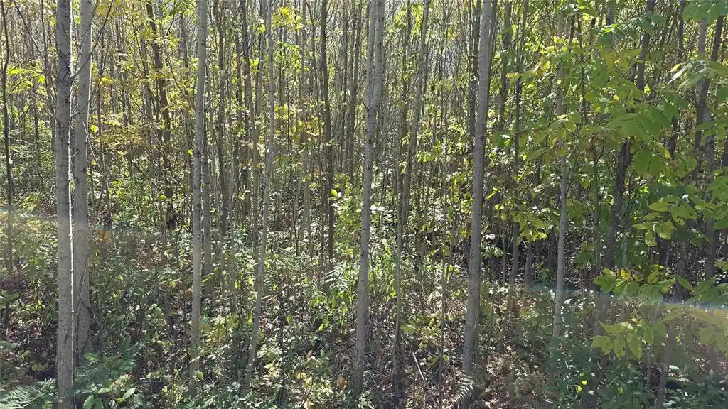 Photo 2 of Land for sale at On County Hwy W, Winter, WI 54896 | MLS# 1605419 | Listing updated on 2026-10-08