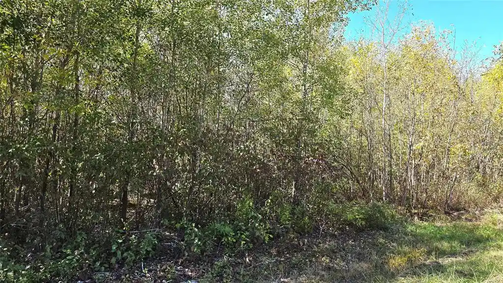Photo 4 of Land for sale at On County Hwy W, Winter, WI 54896 | MLS# 1605419 | Listing updated on 2026-10-08
