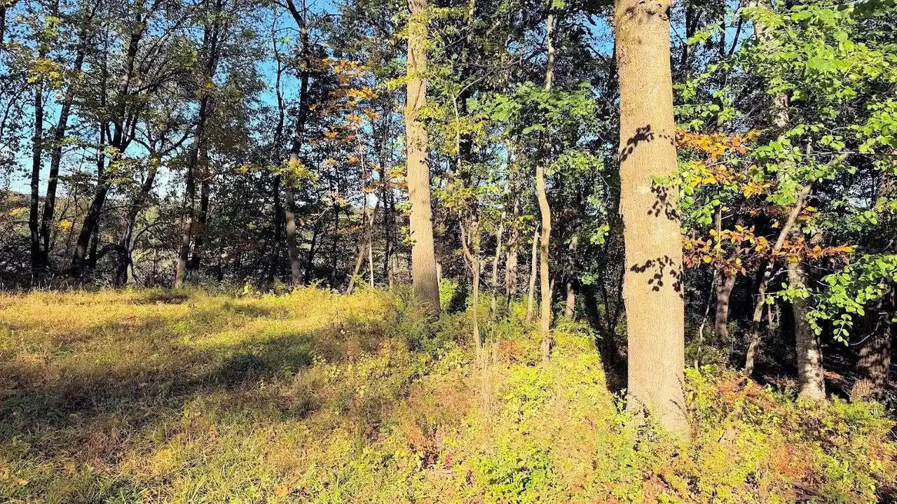 Photo 2 of Land for sale at L21 Hillside Dr, Wisconsin Dells, WI 53965 | MLS# 2033590 | Listing updated on 2026-10-08