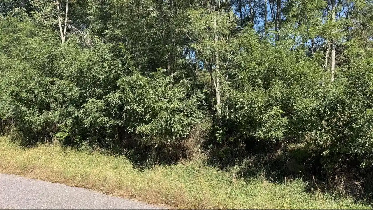 Photo 3 of Land for sale at L21 Hillside Dr, Wisconsin Dells, WI 53965 | MLS# 2033590 | Listing updated on 2026-10-08