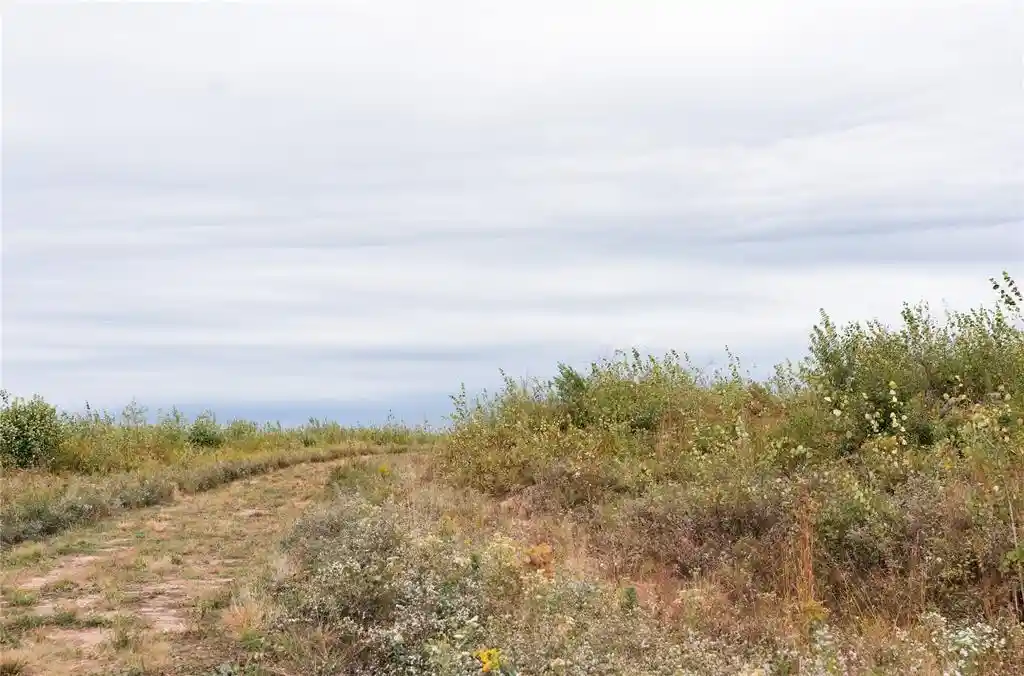 Photo 3 of Land for sale at 0 Girod Rd, Ladysmith, WI 54848 | MLS# 1605408 | Listing updated on 2026-09-30