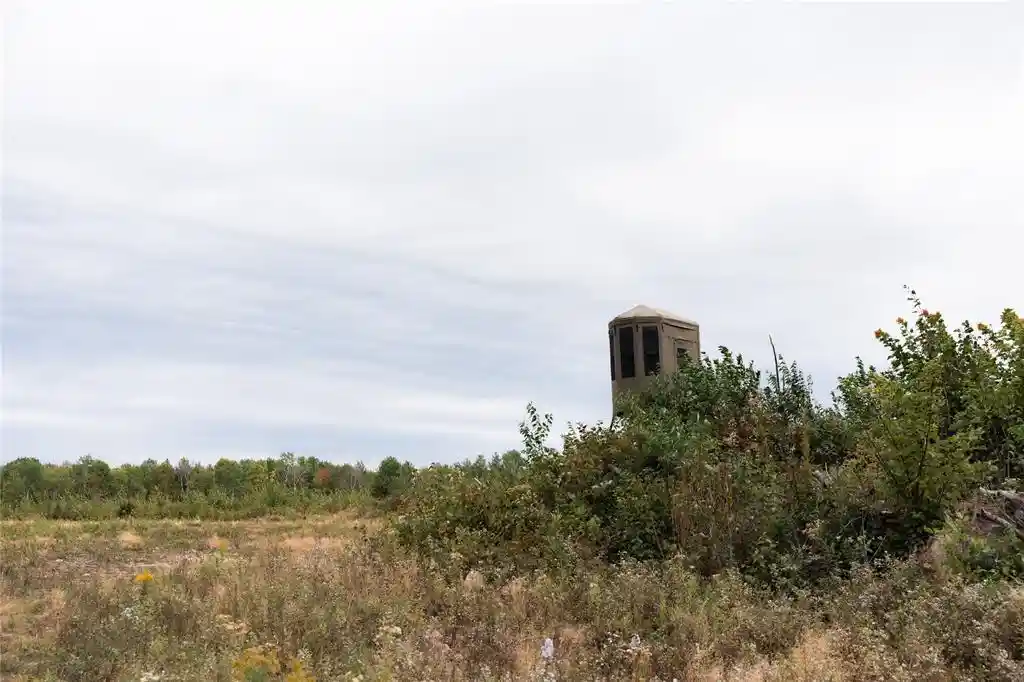 Photo 3 of Land for sale at 0 Girod Rd, Ladysmith, WI 54848 | MLS# 1605408 | Listing updated on 2026-09-30