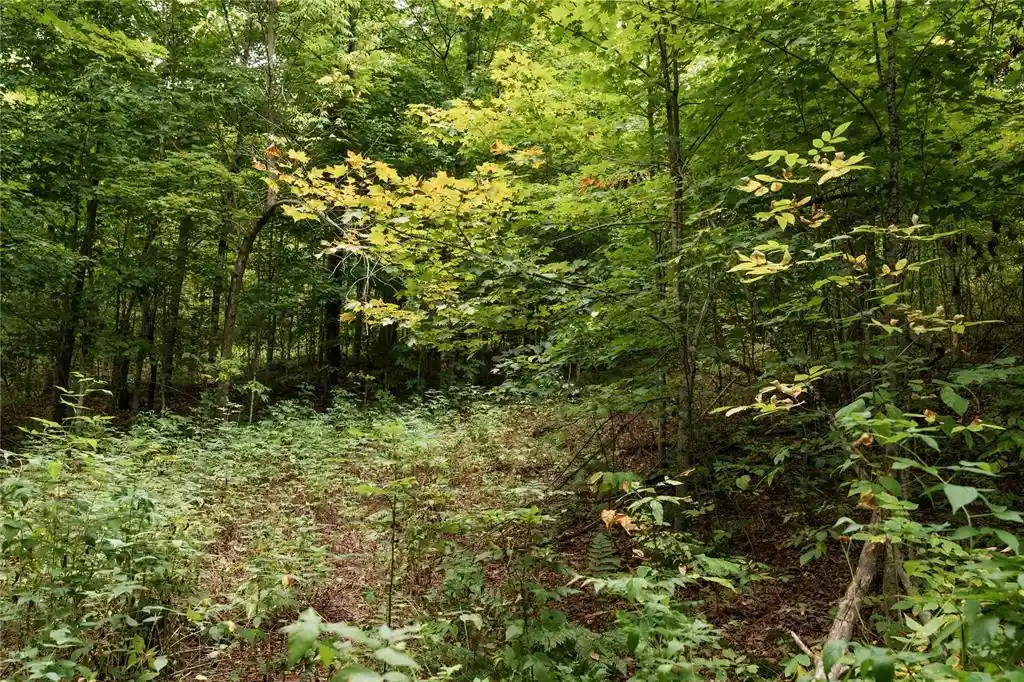 Photo 3 of Land for sale at 0 W Lakeview Ln, Exeland, WI 54835 | MLS# 1605409 | Listing updated on 2026-09-30