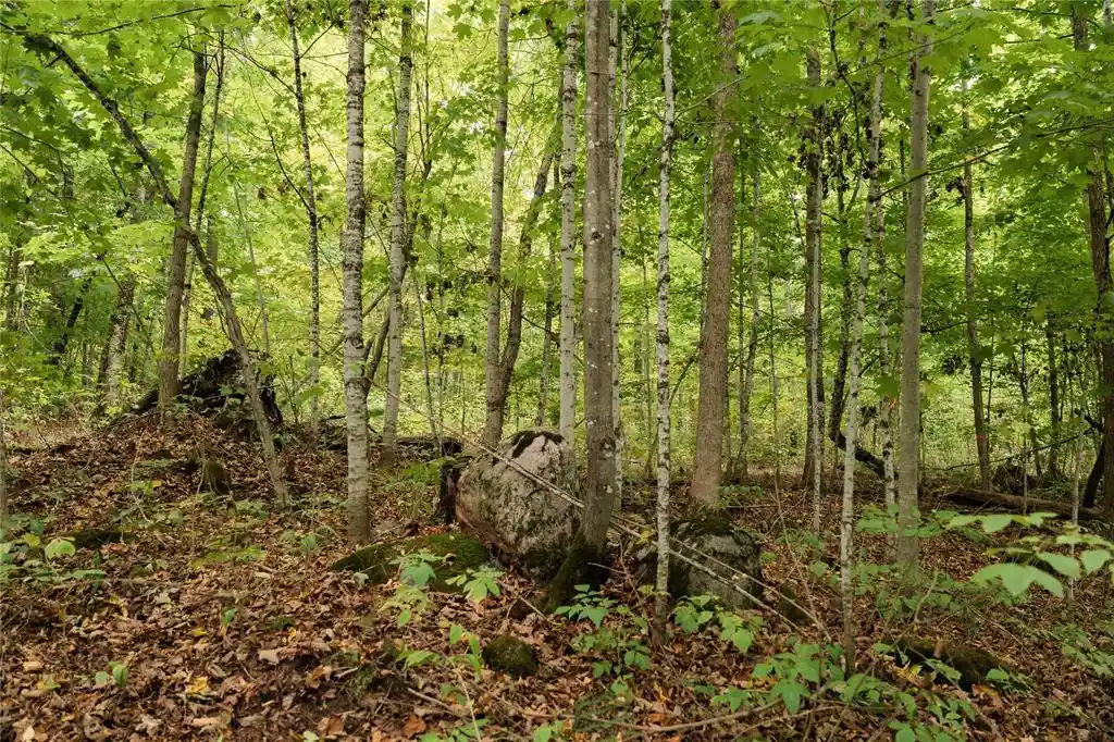 Photo 4 of Land for sale at 0 W Lakeview Ln, Exeland, WI 54835 | MLS# 1605409 | Listing updated on 2026-09-30