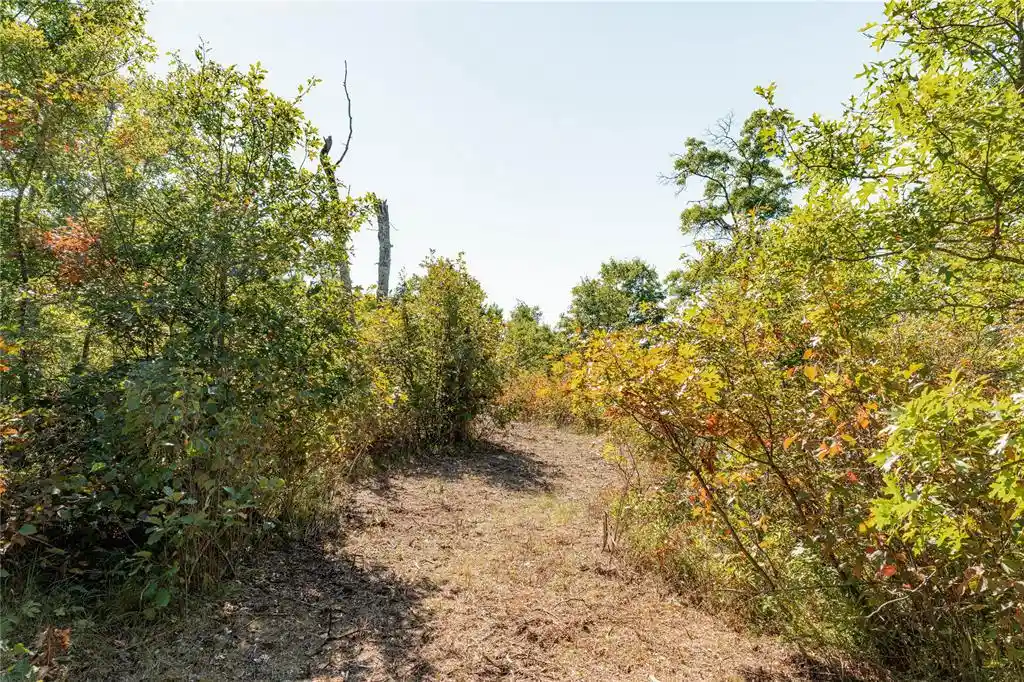 Photo 2 of Land for sale at 0 County Rd T, Minong, WI 54859 | MLS# 1605534 | Listing updated on 2026-09-30