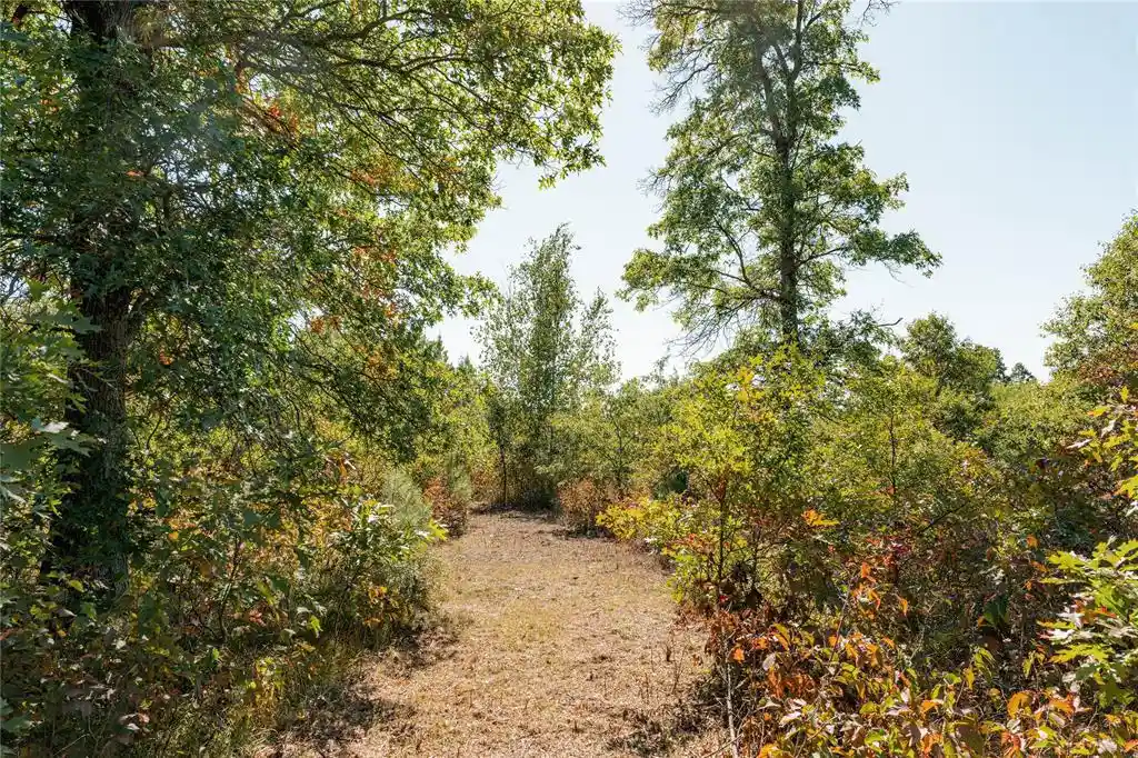 Photo 3 of Land for sale at 0 County Rd T, Minong, WI 54859 | MLS# 1605534 | Listing updated on 2026-09-30