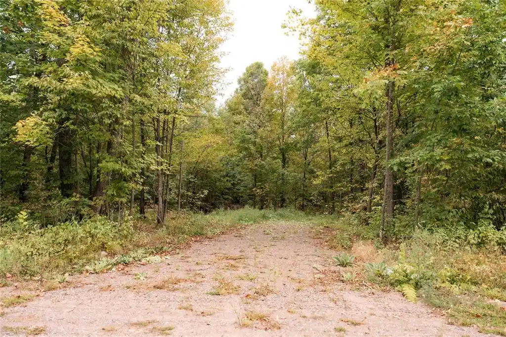Photo 3 of Land for sale at 0 Lakeview Ln, Exeland, WI 54835 | MLS# 1605527 | Listing updated on 2026-09-30