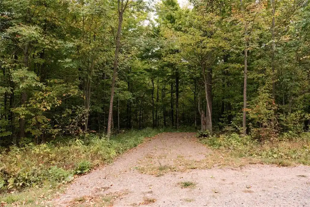Photo 4 of Land for sale at 0 Lakeview Ln, Exeland, WI 54835 | MLS# 1605527 | Listing updated on 2026-09-30