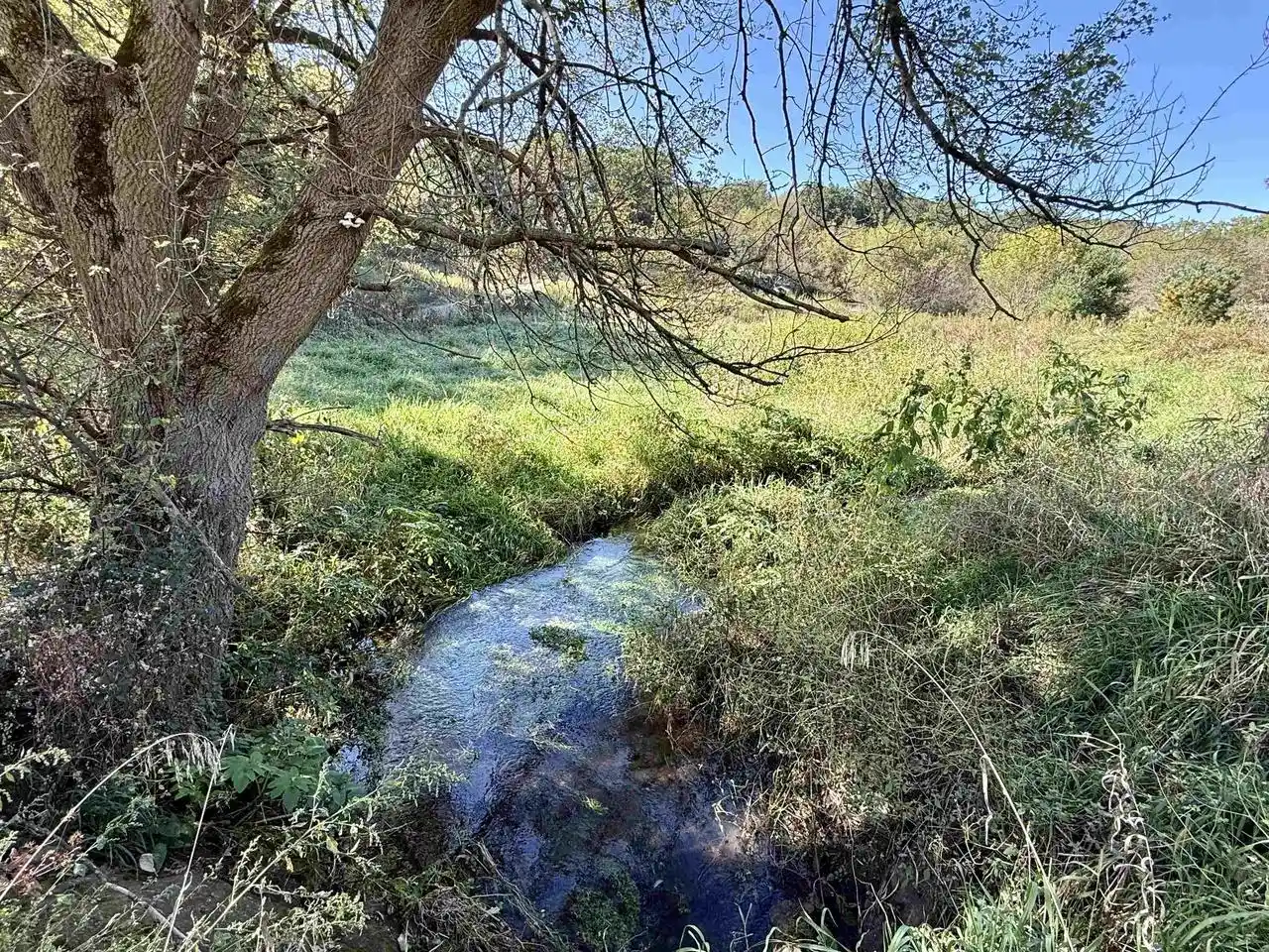 Photo 2 of Sale Pending at W5921 Legler Valley Rd, New Glarus, WI 53574 | MLS# 2033616 | Listing updated on 2026-10-06