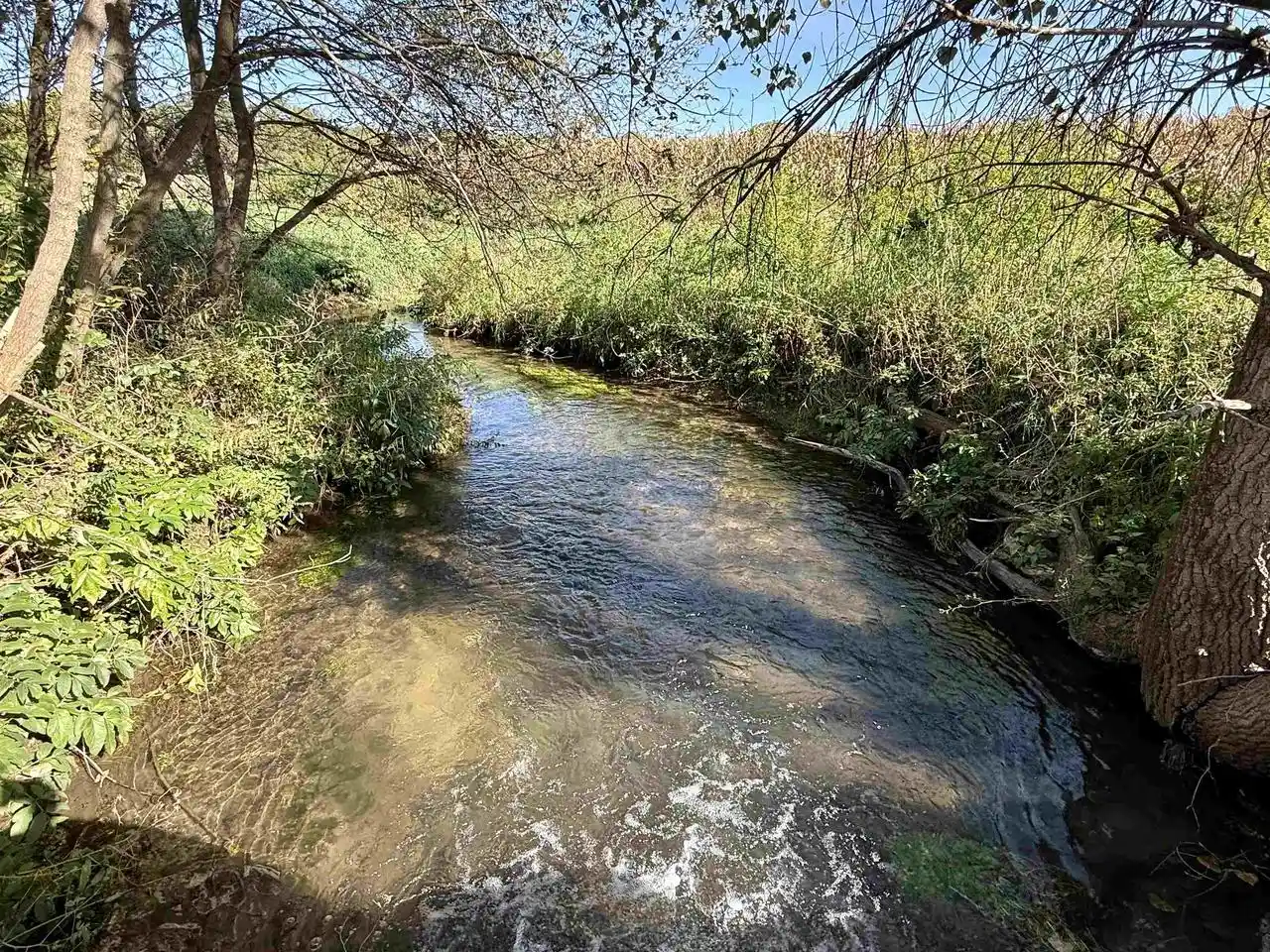 Photo 77 of Sale Pending at W5921 Legler Valley Rd, New Glarus, WI 53574 | MLS# 2033616 | Listing updated on 2026-10-06